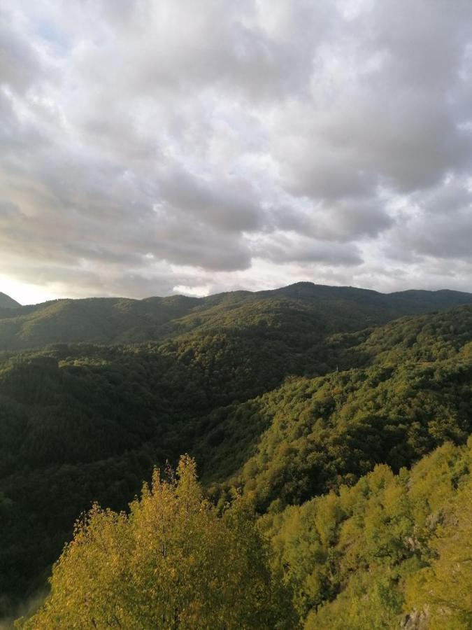 Yancheva Guest House Delchevo ภายนอก รูปภาพ