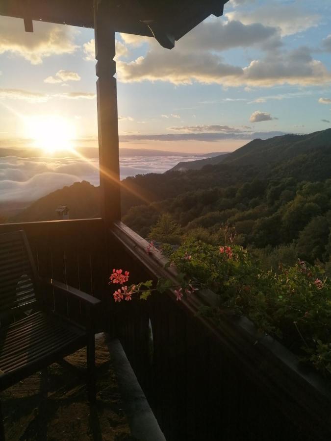 Yancheva Guest House Delchevo ภายนอก รูปภาพ