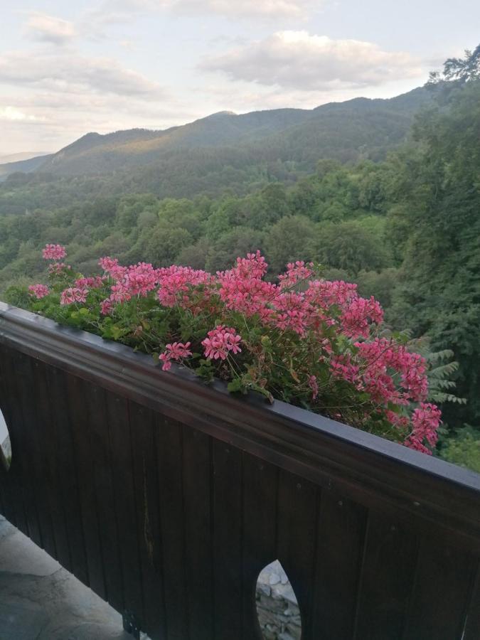 Yancheva Guest House Delchevo ภายนอก รูปภาพ