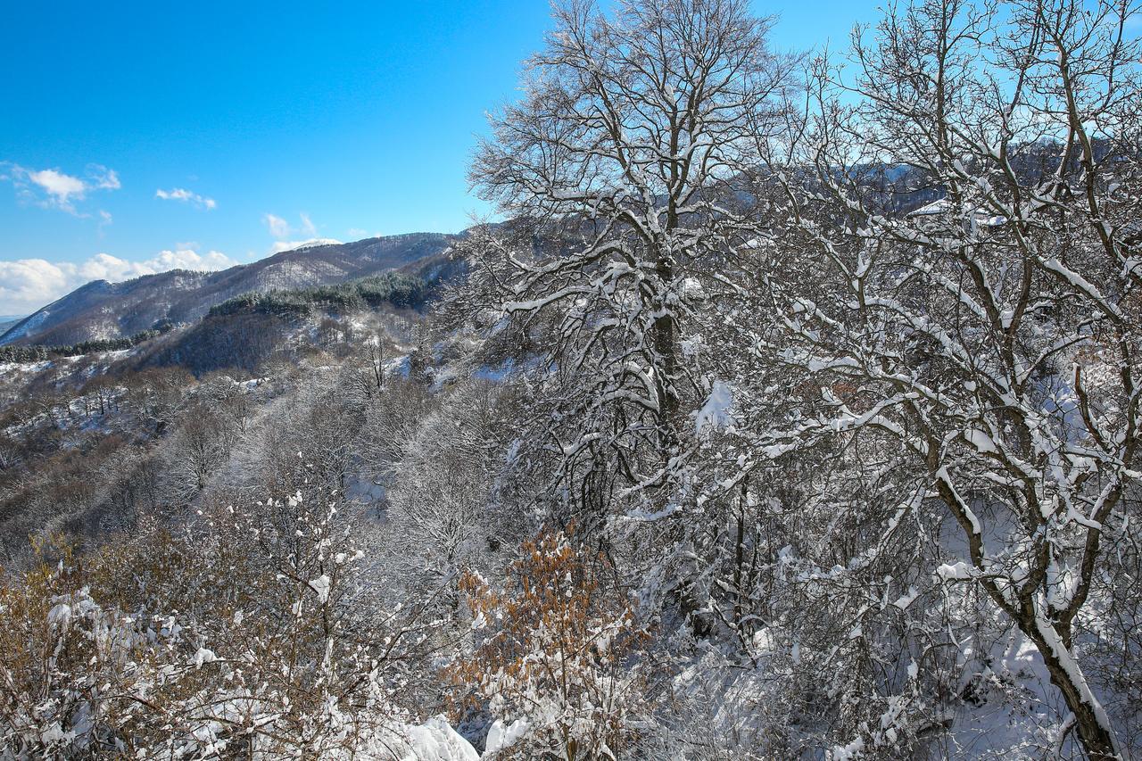 Yancheva Guest House Delchevo ภายนอก รูปภาพ